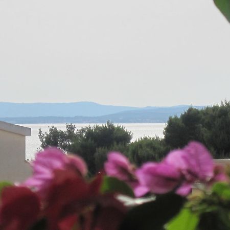 Apartments Villa Violet Zadar Exterior foto